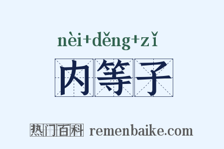 内等子是什么意思的图片